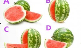 52每日大瓜视频,揭秘娱乐圈幕后故事，带你领略明星真实生活